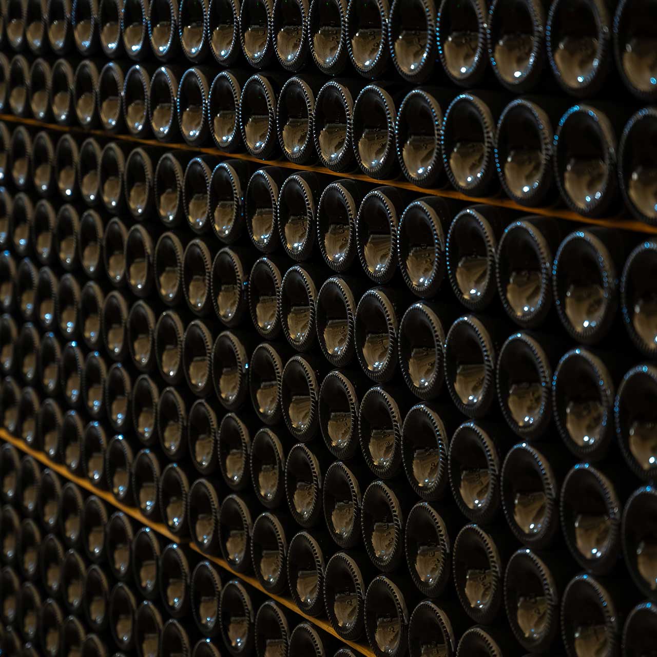 botellas